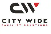 team-3 city wide facility solutions franchise logo.jpg